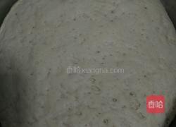 茴香鸡蛋馅包子的做法图解1