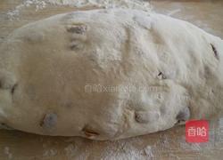 枣馍馍的做法图解5