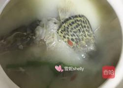 鲜笋野生桂鱼汤的做法图解5