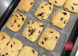 蔓越莓饼干简易版的做法图解10