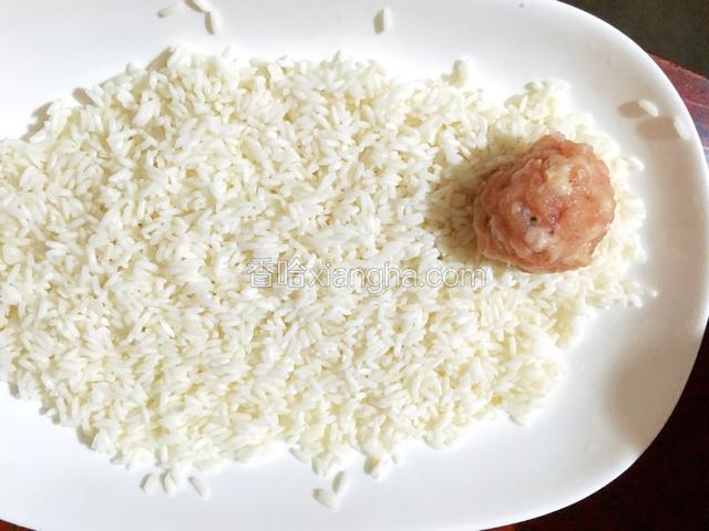 糯米提前泡发沥干水分，肉丸放糯米上