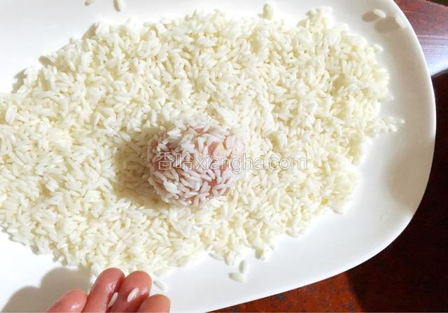 用滚的方法裹住肉丸，然后用手轻轻握紧