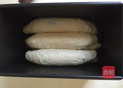 豹纹吐司的做法图解10