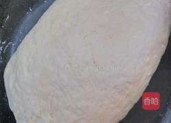 蒜苔猪肉饺子的做法图解3