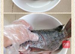 红烧罗非鱼的做法图解2