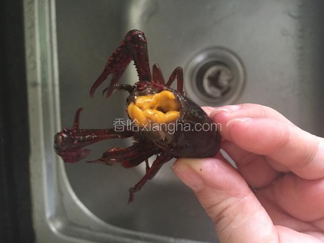 处理头部和身子部位时有这种黄色的虾仔，另外用碗装着保留下来