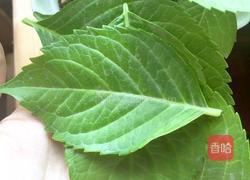 日式刺身拼盘的做法图解1