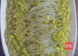 黄豆芽蒸肉的做法图解8