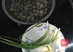 爆炒酱花蛤蜊的做法图解2