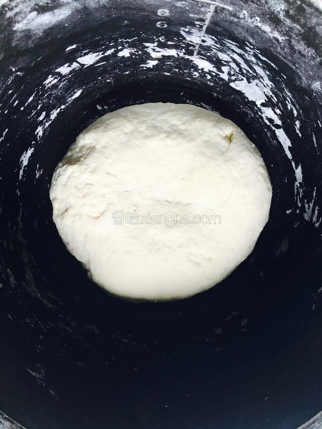 用手揉成面团。盖上盖子 放一边发酵 