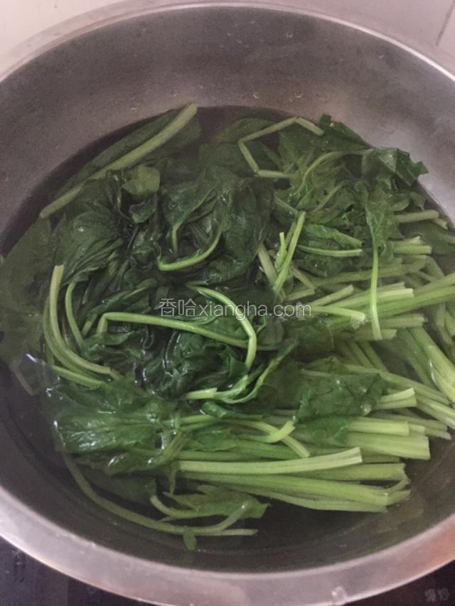 菠菜摘洗干净后，在开水里煮2分钟，中间放入少许盐和油保证色泽。