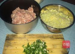  猪肉白菜馅饺子的做法图解2