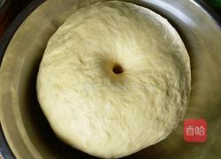 牛奶蜂蜜酥脆软麻花的做法图解8