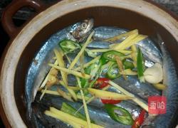 鱼煲的做法图解4