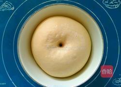 肉松火腿面包卷的做法图解5