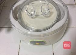 菠萝杏仁酸奶的做法图解4