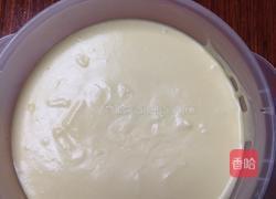 自制冰激凌的做法图解10