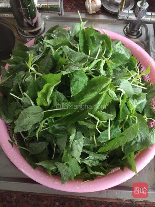 麻叶用清水冲洗干净