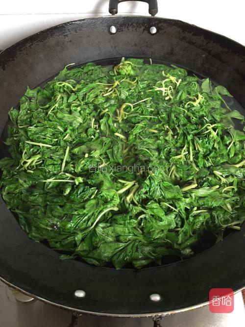 水开把麻叶倒进锅里烫软，然后捞起