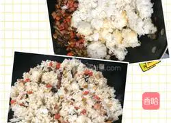 Assorted Fried Rice Recipe Illustration 5