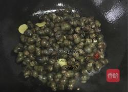 爆炒酱螺丝的做法图解6