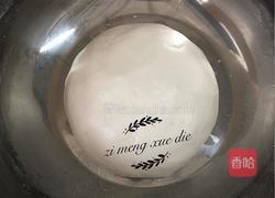 麻球的做法图解5