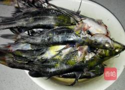 红烧昂刺鱼的做法图解1