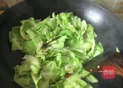 手撕茴子白（清炒）的做法图解6