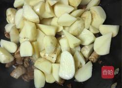 土豆炖红烧肉的做法图解7