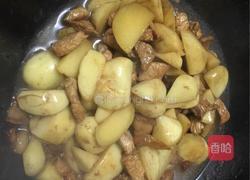 土豆炖红烧肉的做法图解9