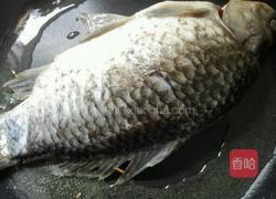 豆腐鱼汤的做法图解4