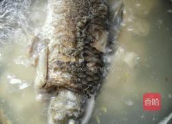 豆腐鱼汤的做法图解7