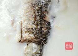 豆腐鱼汤的做法图解8