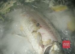 清炖鱼的做法图解3