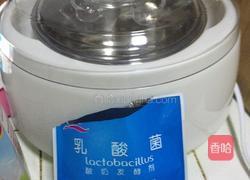 蜂蜜火龙果自制酸奶的做法图解1