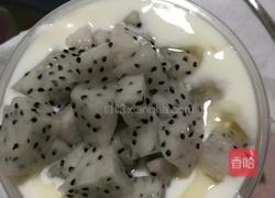 蜂蜜火龙果自制酸奶的做法图解4