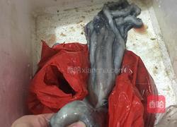 花炒鱿鱼的做法图解1