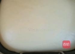 蜂蜜香酥面包的做法图解3