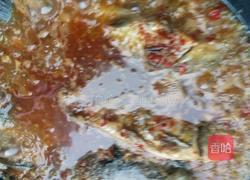 家常鲫鱼的做法图解4