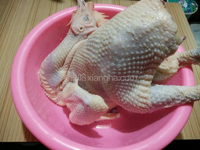 现宰老母鸡一只，从尾端开口去内脏及鸡屁股，洗净血水备用（这步请市场商贩代劳）