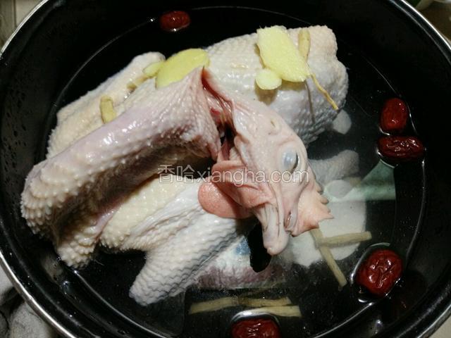 将鸡头用牙签稍事固定，加足量清水，倒入另一半辅料，开炖（我用电压力锅，按豆类、蹄筋键，如果是砂锅，小火慢炖须四个小时）