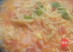 鸡蛋土豆丝的做法图解6