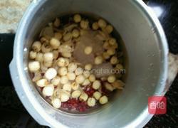 莲子百合红豆粥的做法图解5