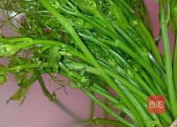 辣炒南瓜藤的做法图解1