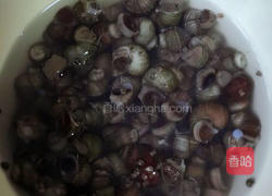 酱爆螺丝的做法图解1
