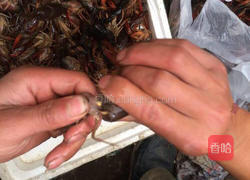 香辣龙虾的做法图解2