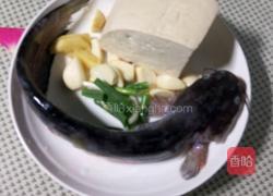 鲶鱼炖豆腐的做法图解1