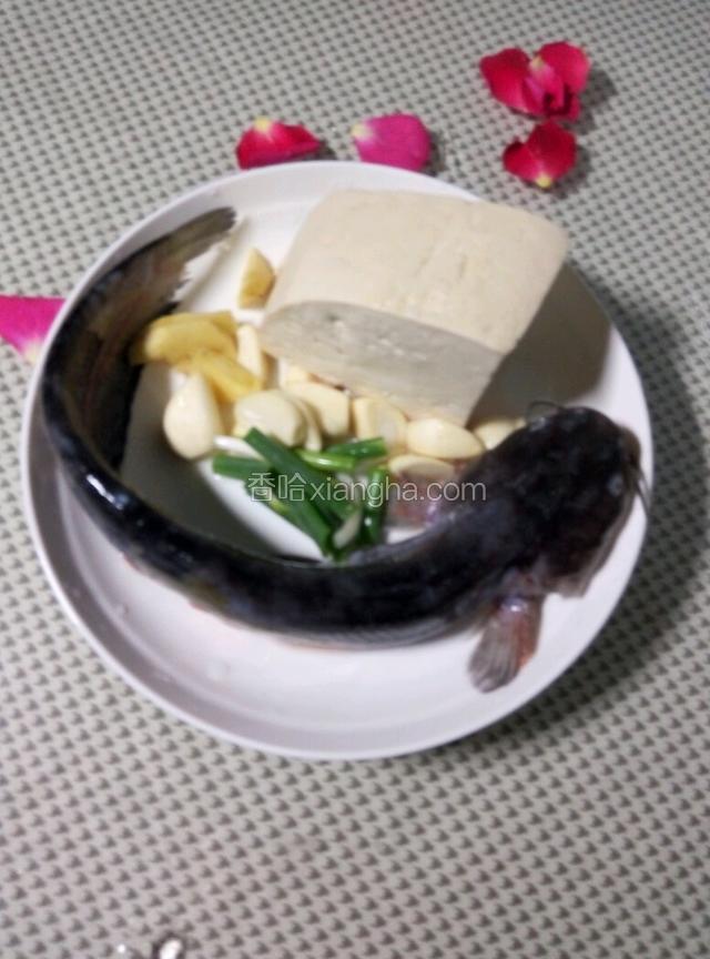 小鲶鱼一条，葱，姜，蒜，豆腐，准备好，