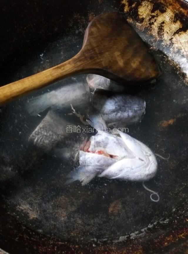 锅中加水，放入切段的鲶鱼，