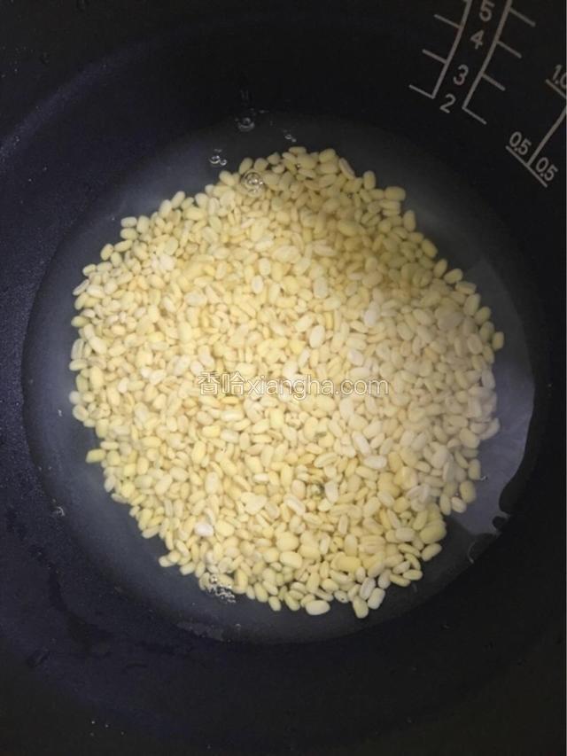 绿豆泡水一个晚上